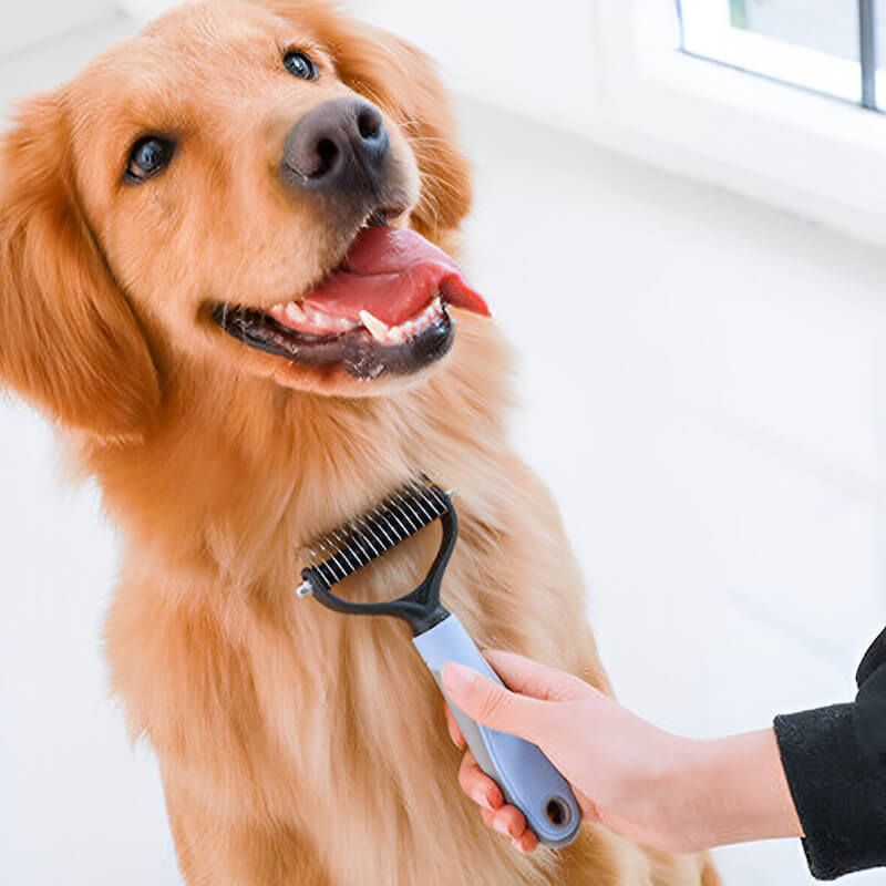 Spazzola per Cani, Pettine Gatti per Pelo Acciaio Inossidabile 17+9 Doppia  Facci