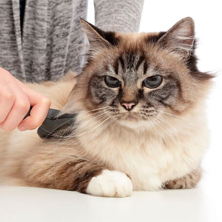 Set di tosatrici per peli di animali domestici | GULAMACHINE