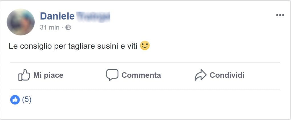 FORBICI PER UNA FACILE POTATURA E INNESTO MASTER-CUT